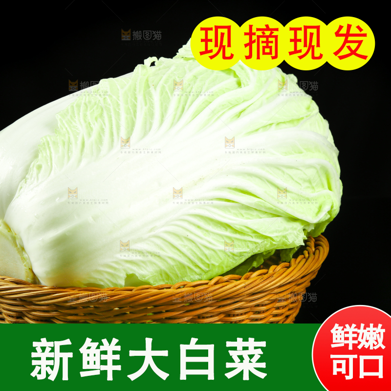黑底上放着大白菜