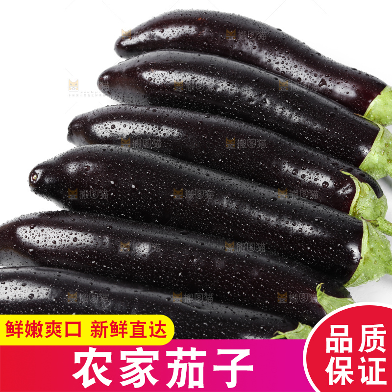白底上的紫茄子