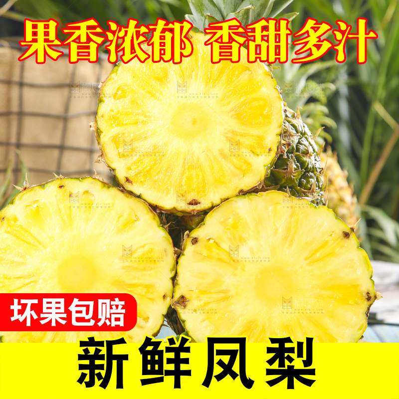 白石板上放着金钻凤梨