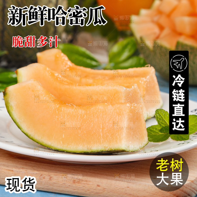 哈密瓜主图