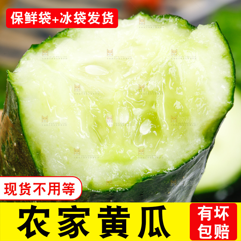 白底上放着黄瓜