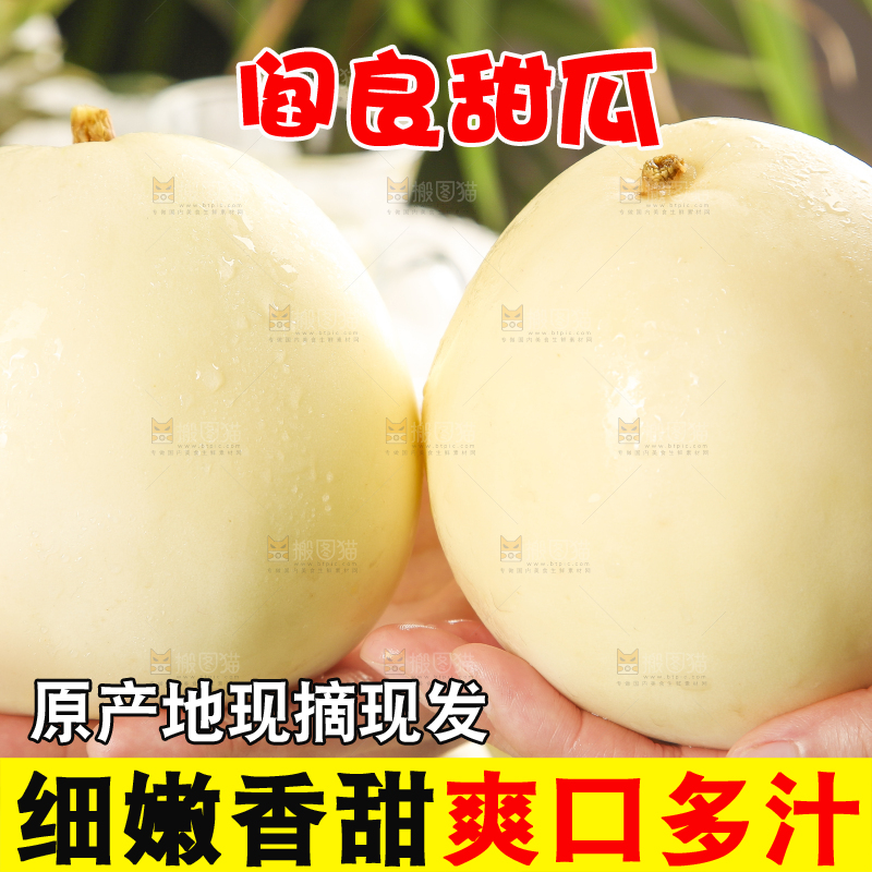 双手里捧着陕西阎良甜瓜