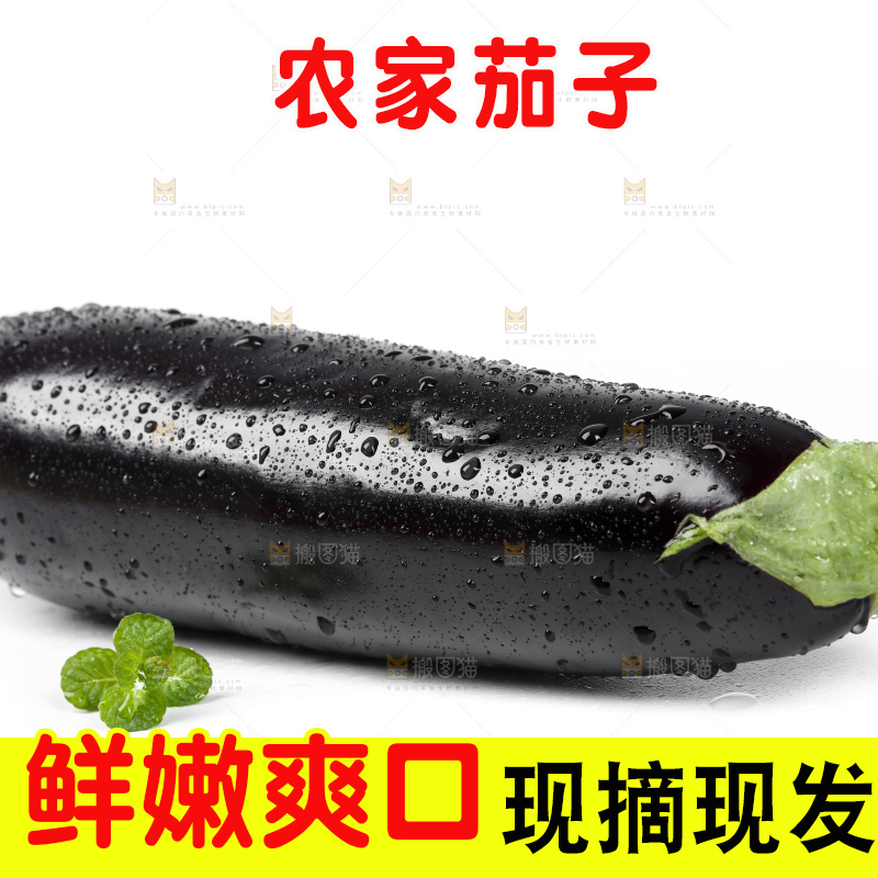 白底上的紫茄子