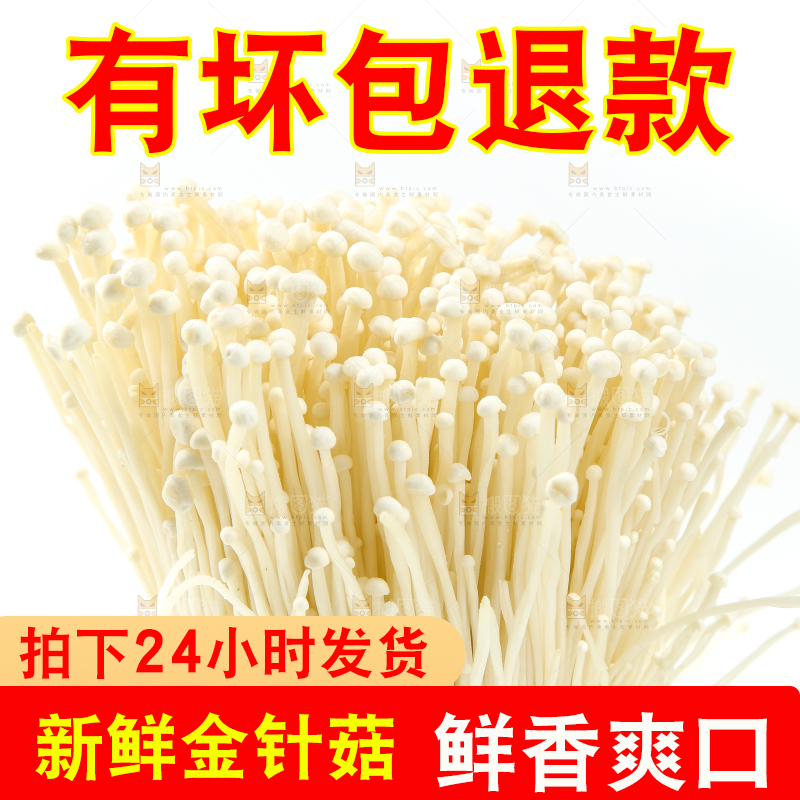 白底上的金针菇