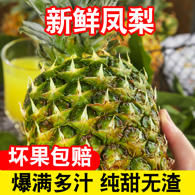 手拿着金钻凤梨
