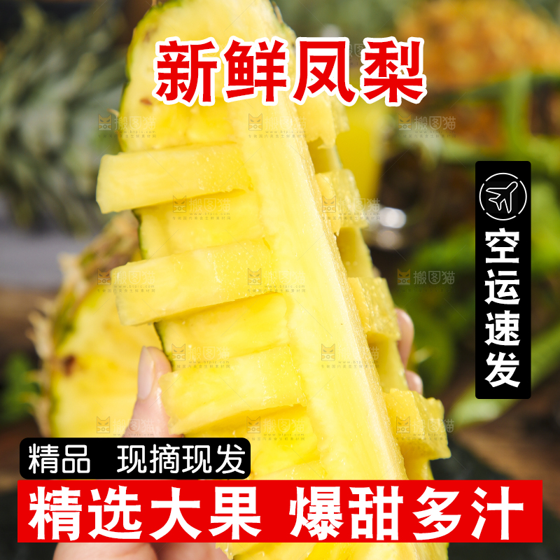 手拿着金钻凤梨
