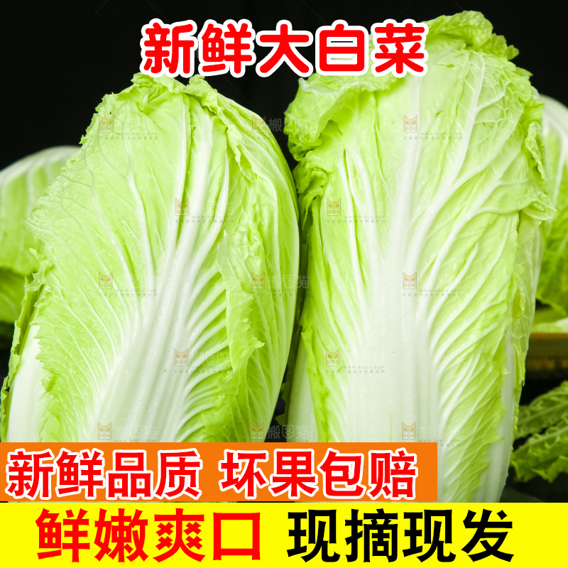 黑底上的有机大白菜