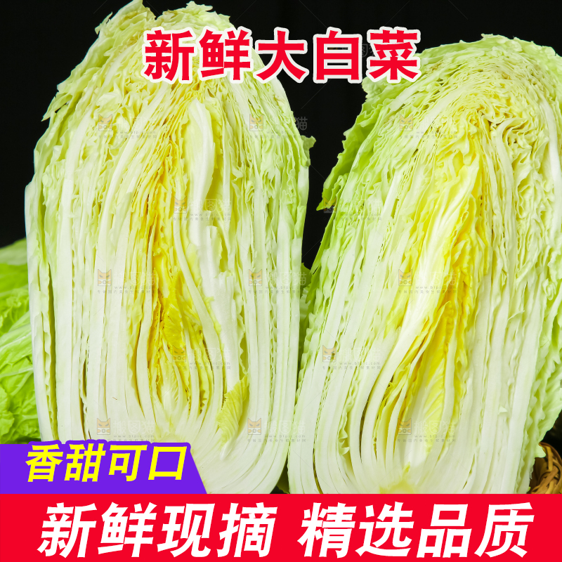 黑底上放着大白菜