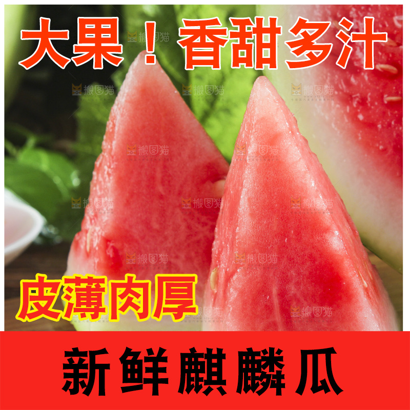 新鲜冰糖西瓜放在木底上
