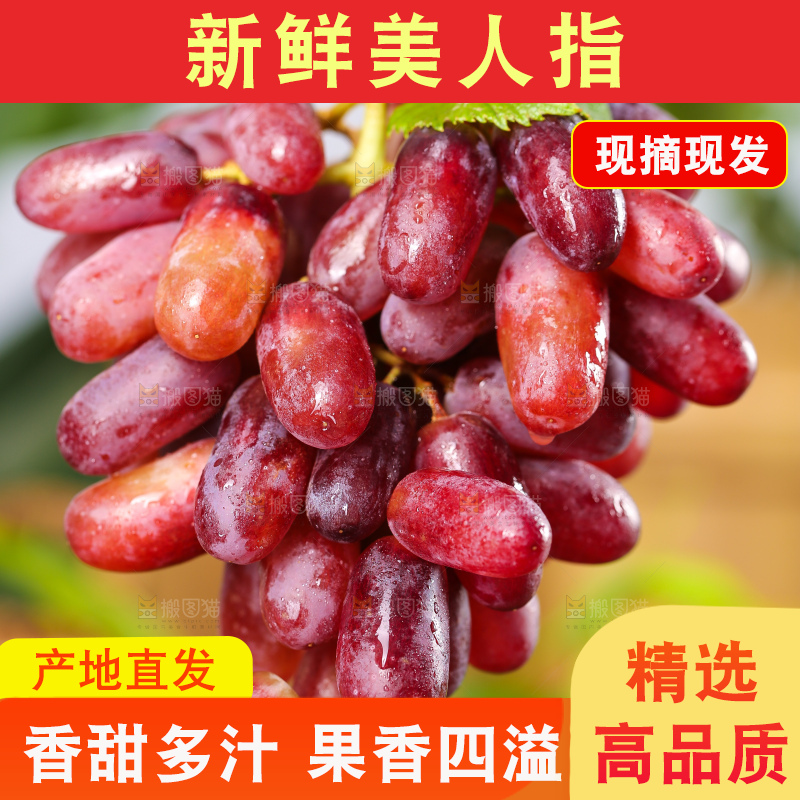 手里拿着美人指葡萄