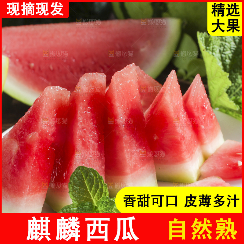 木底上放着红心西瓜果肉