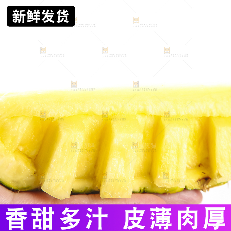 手里拿着海南金钻凤梨