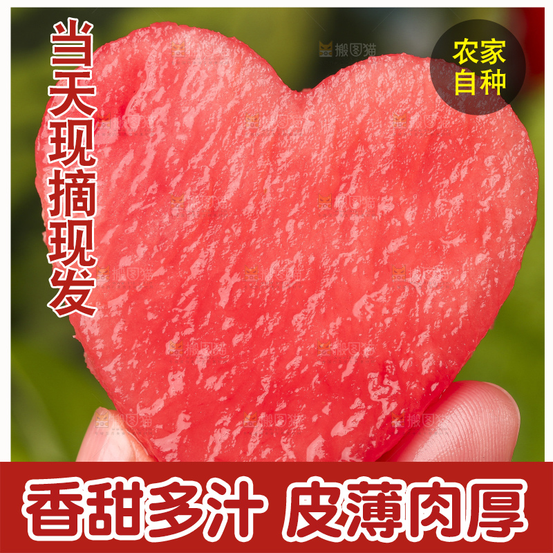 手拿红心西瓜果肉