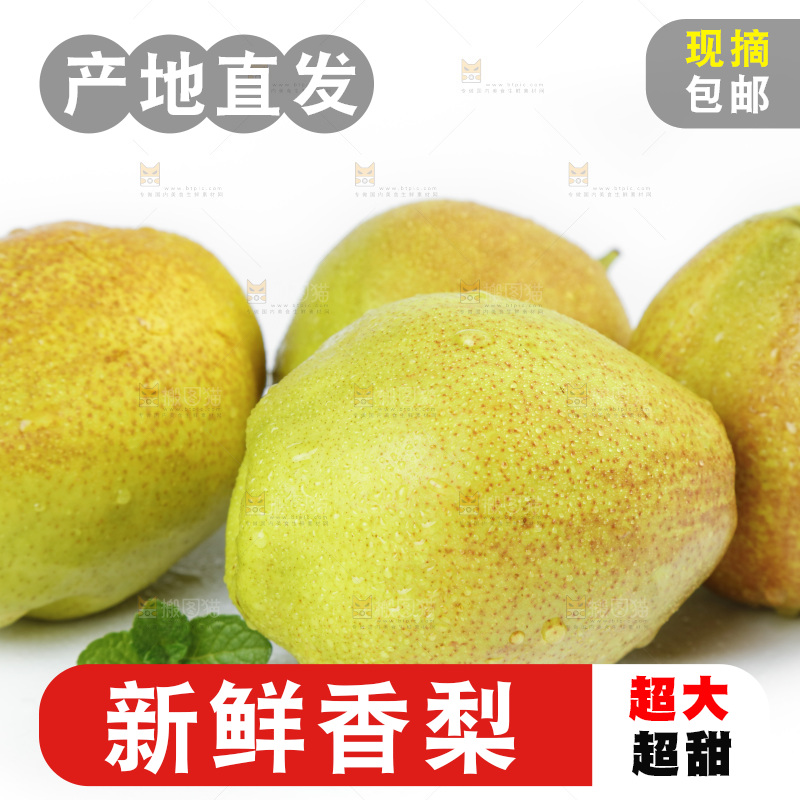 新鲜香梨放在白底上