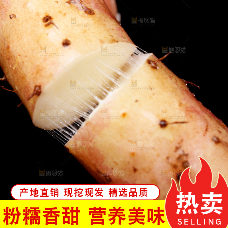 手里拿着小白嘴山药