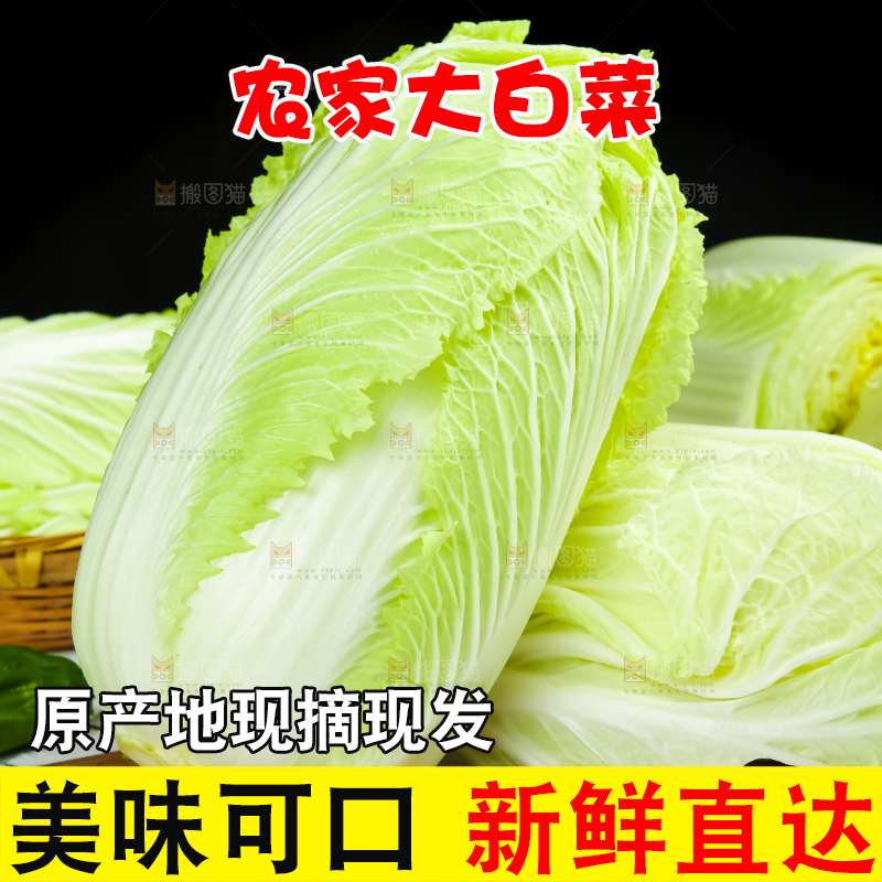 木底上放着大白菜