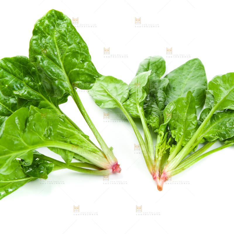 白底上放着新鲜菠菜