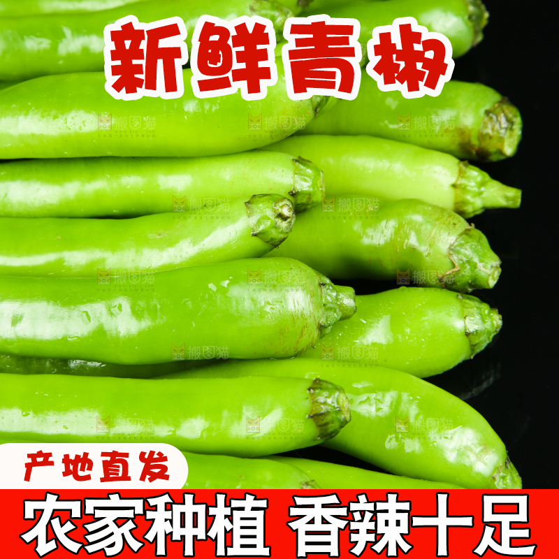 黑底上放着青尖椒