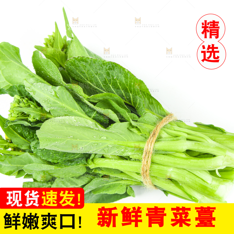 白底上的一把新鲜菜心