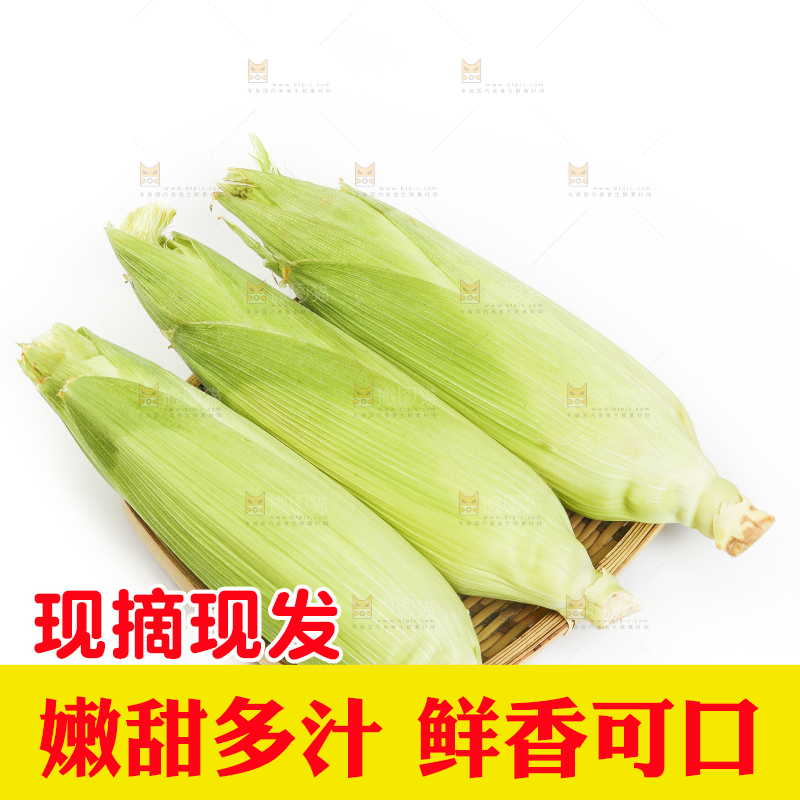 竹篮里装着东北甜玉米