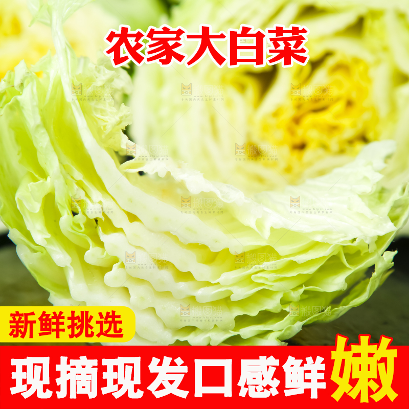 黑底上放着大白菜