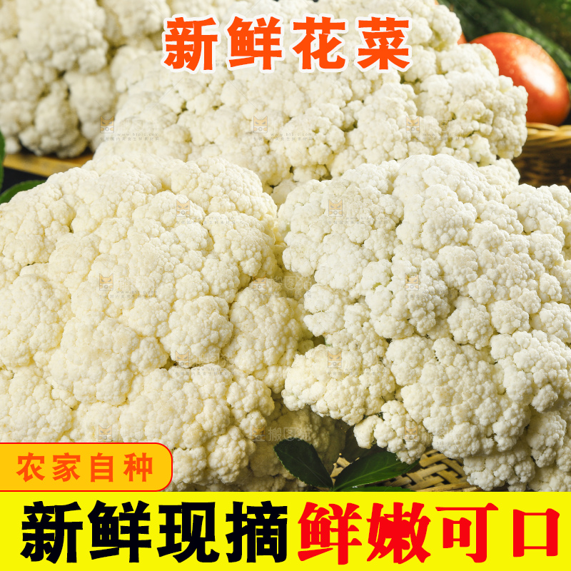 黑底上的山东新鲜白菜花