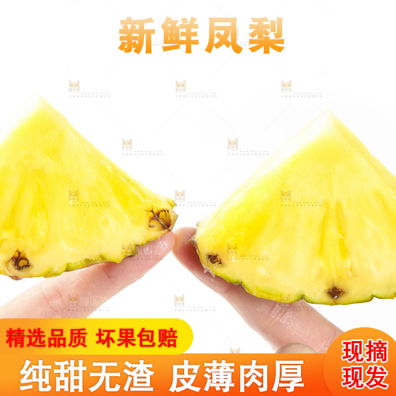 手里拿着海南金钻凤梨