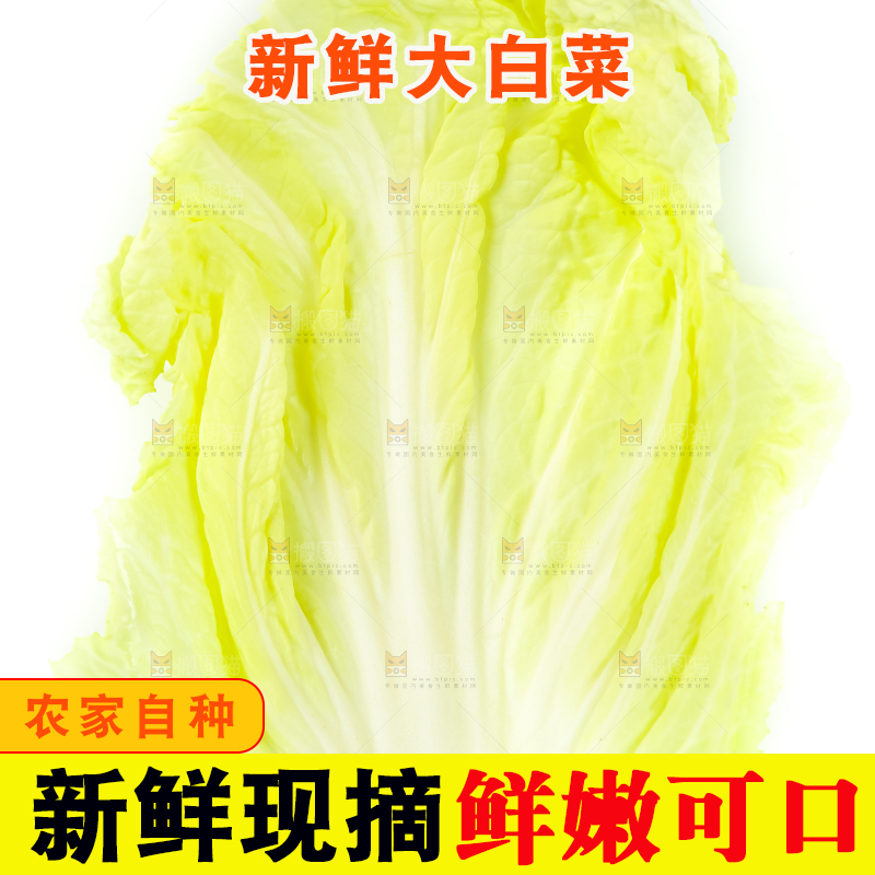 白底上放着白菜