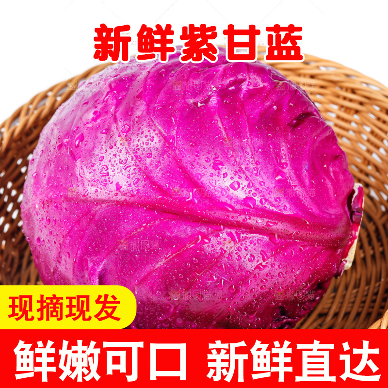 篮子里的紫甘蓝
