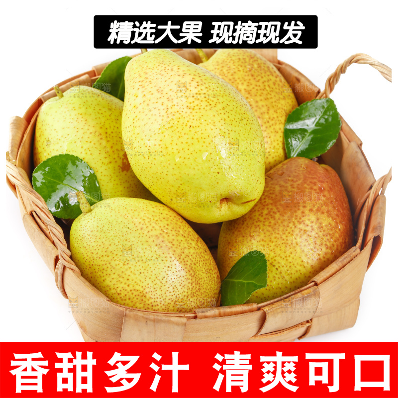 一筐陕西红香酥梨放在白底上
