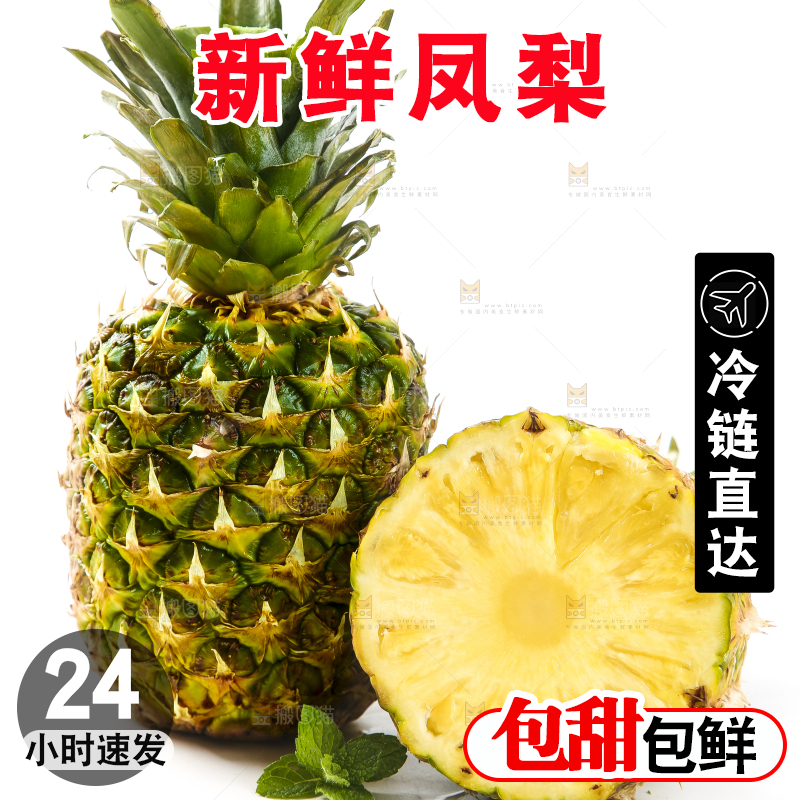 白底上的海南金钻凤梨