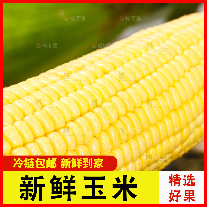 深底上的玉米
