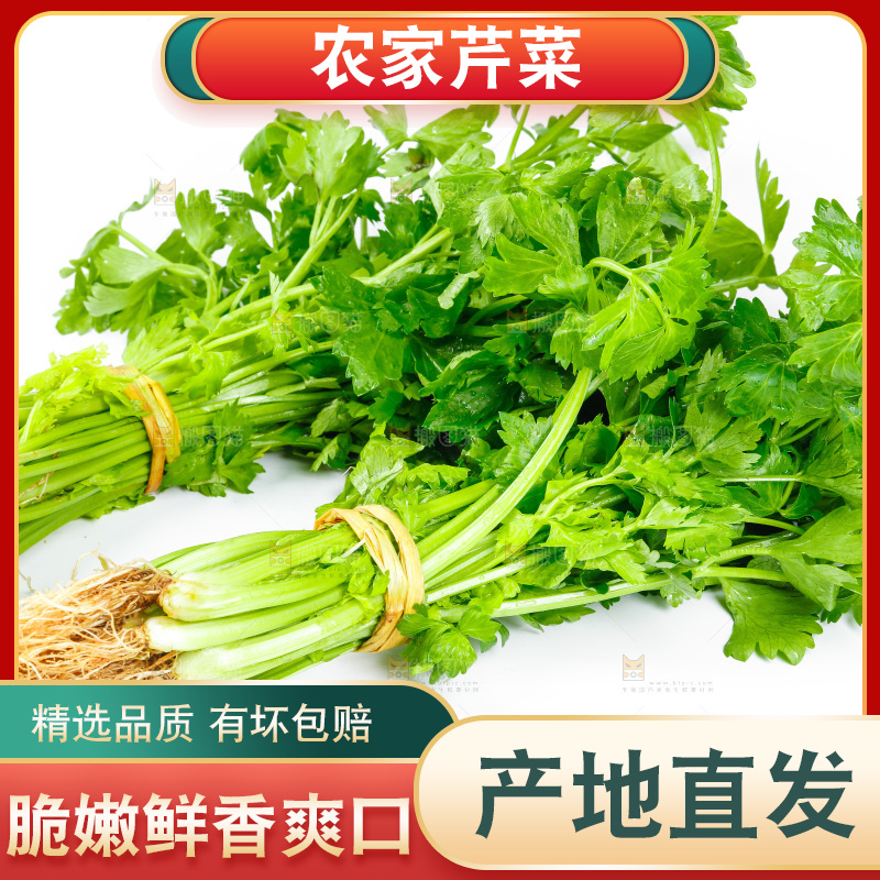 白底上放着芹菜