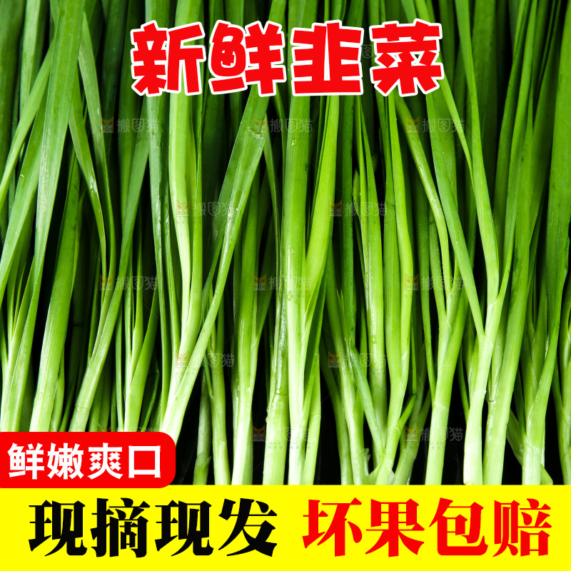 黑底上堆放着韭菜
