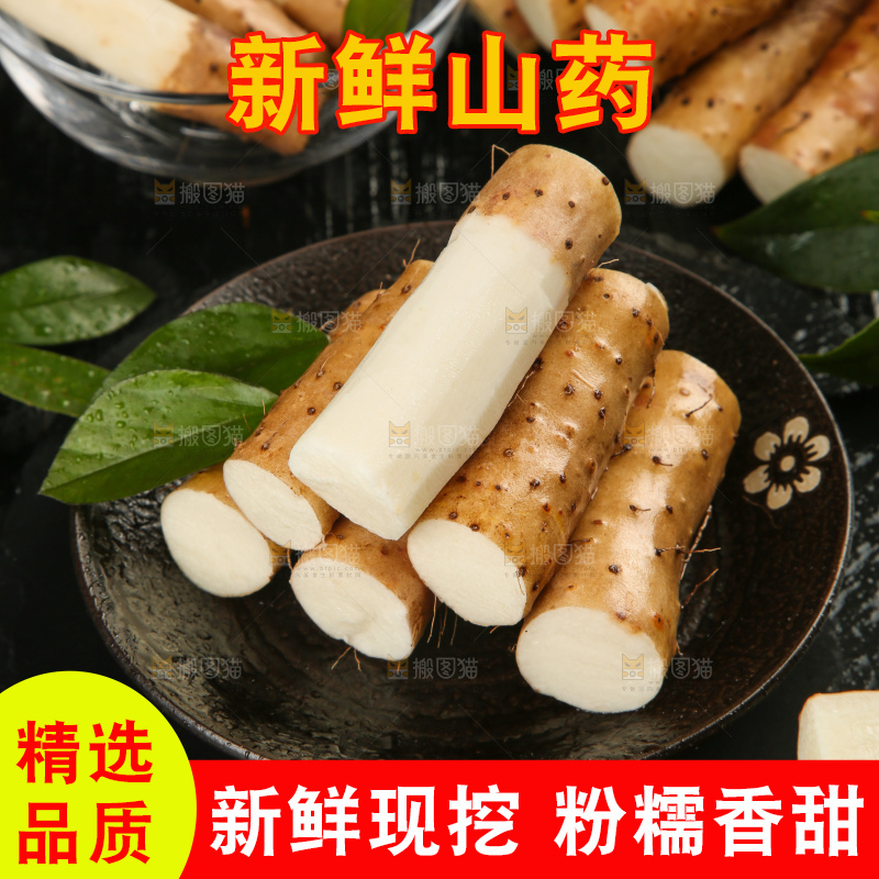 深底上的小白嘴山药