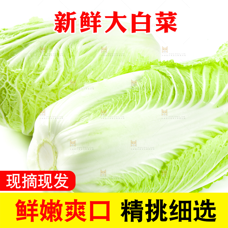 白底上放着大白菜