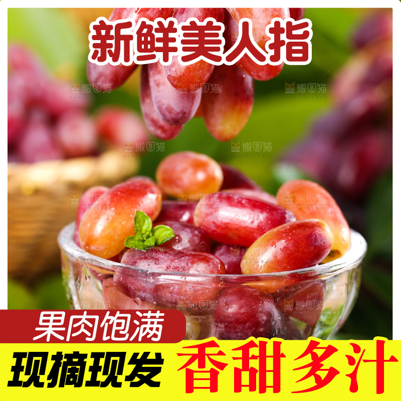 手里拿着美人指葡萄