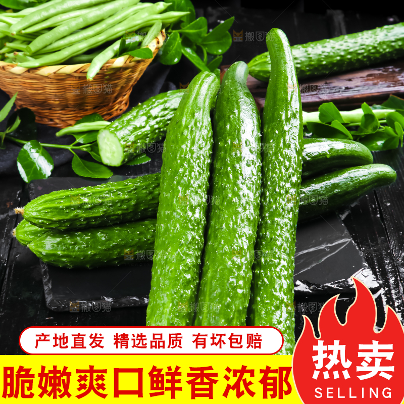 黑底上的新鲜青黄瓜