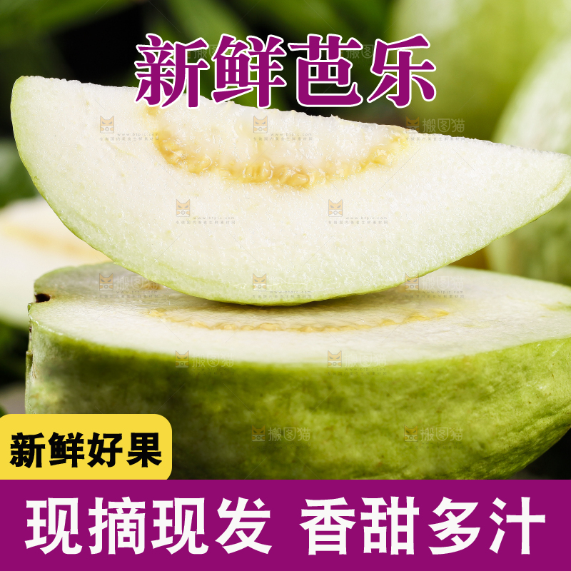 黑底上的广西白心芭乐