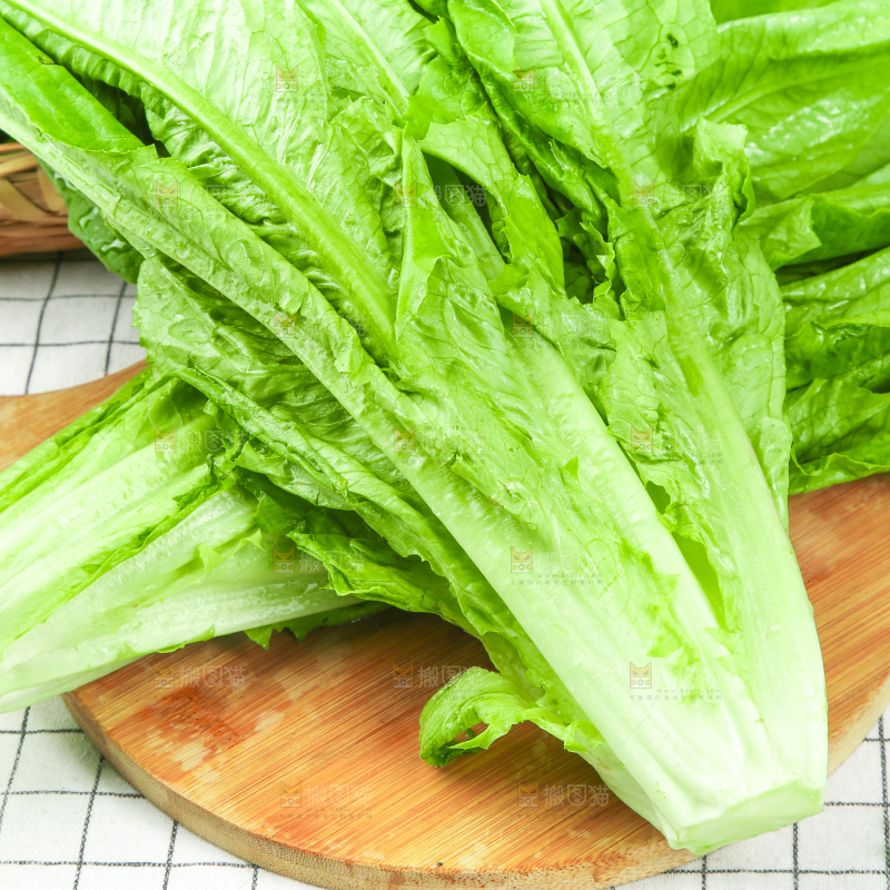 格子底上放着油麦菜