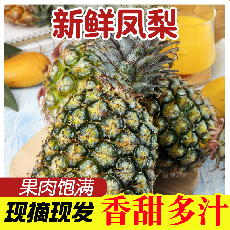 蓝底上的金钻凤梨