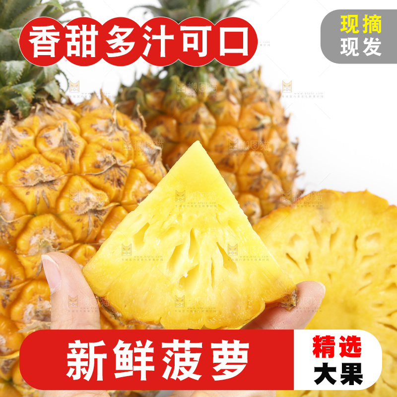 手拿切开的新鲜菠萝