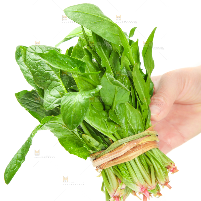 手里拿着一把菠菜