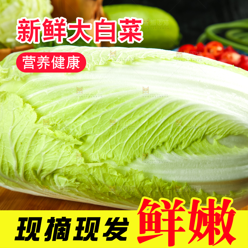 木底上放着大白菜