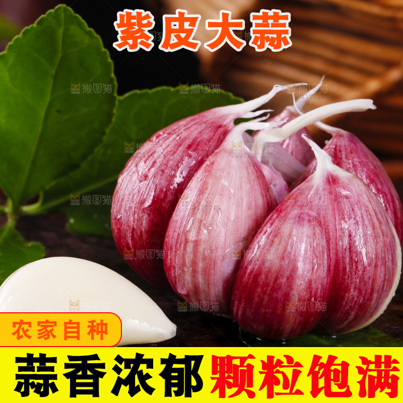 深底上放着云南新鲜紫皮大蒜