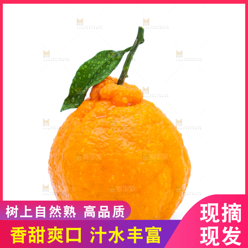 白底上的新鲜耙耙柑