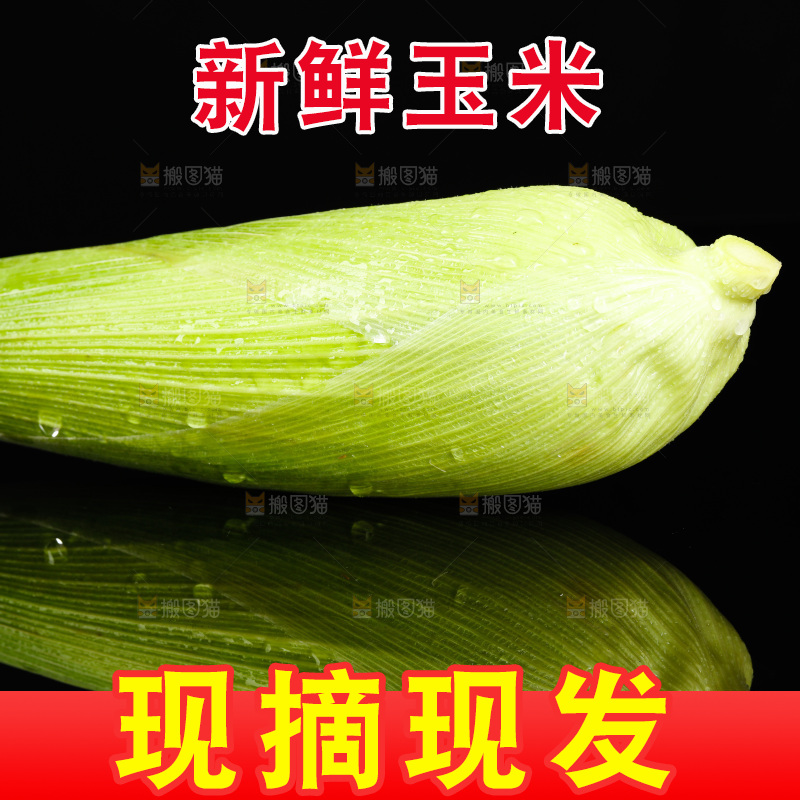 黑底上的玉米棒