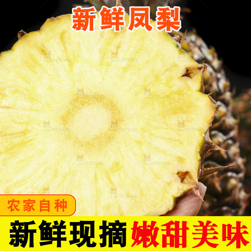 手拿切开的海南金钻凤梨