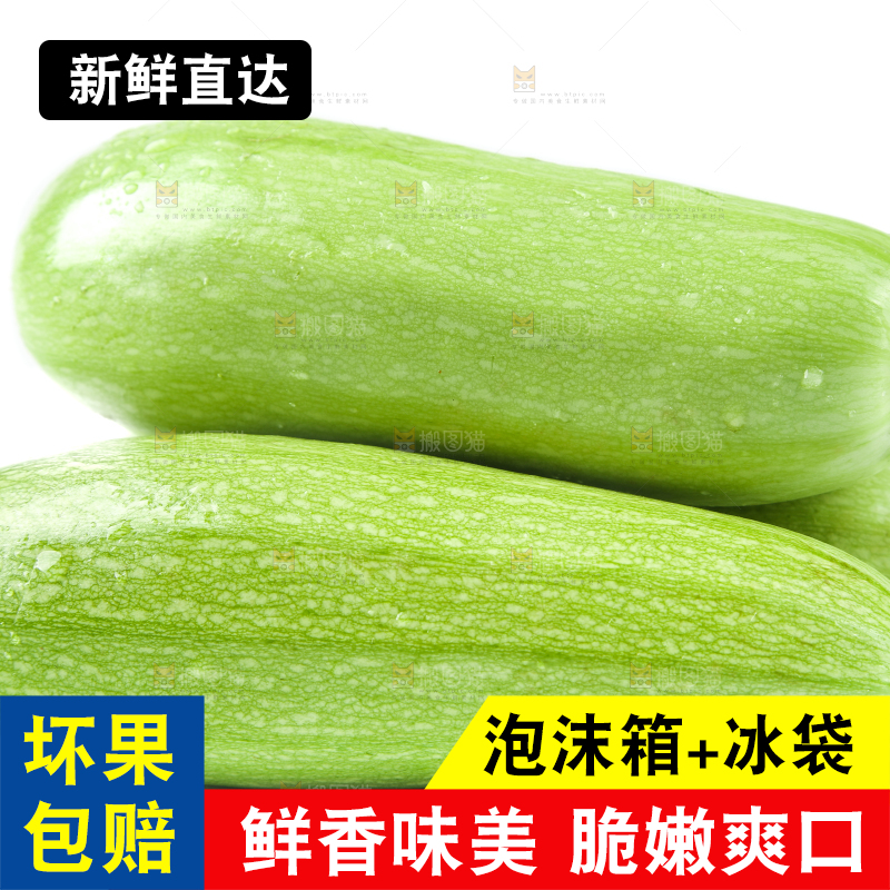 白底上摆放着茭瓜