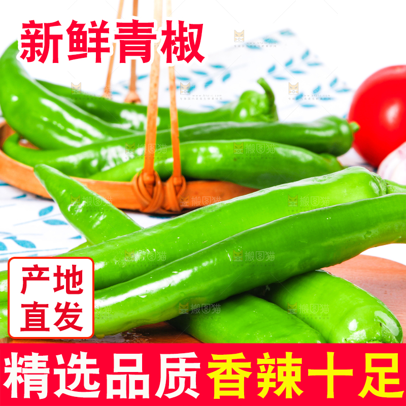 浅底上放着山东新鲜青椒